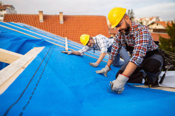Best Roof Gutter Cleaning  in Loogootee, IN